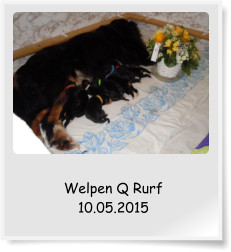 Welpen Q Rurf 10.05.2015